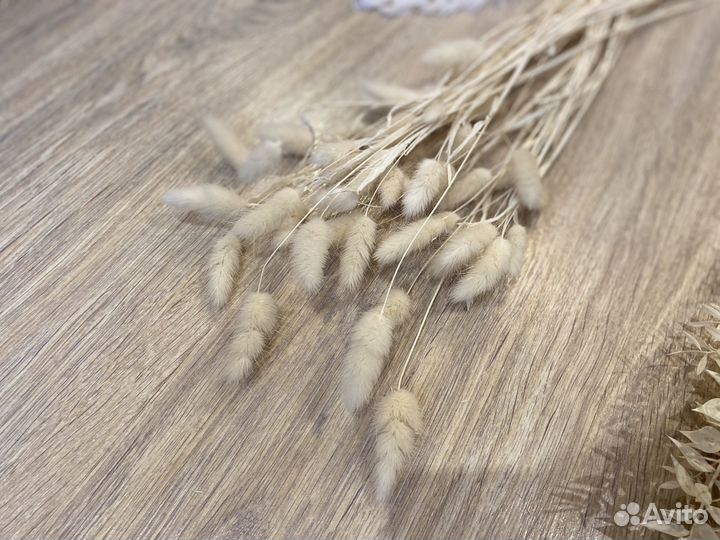 Сухоцветы (пампасная трава, Лунария)