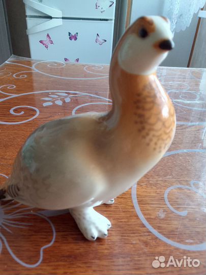 Колекционирование