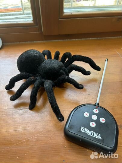 Паук на пульте