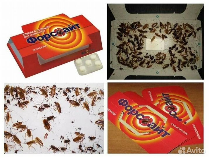 Средство от тараканов клопов насекомых плесени