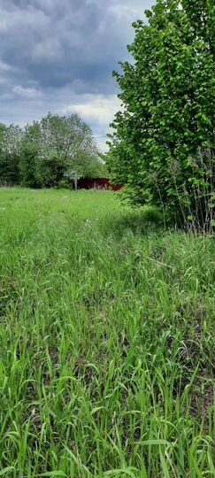 Участок 14 сот. (ИЖС)