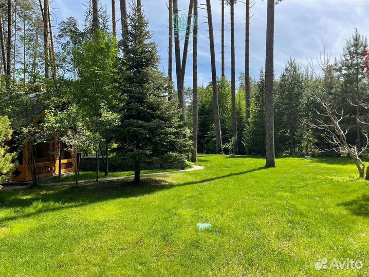 Рулонный газон под ключ