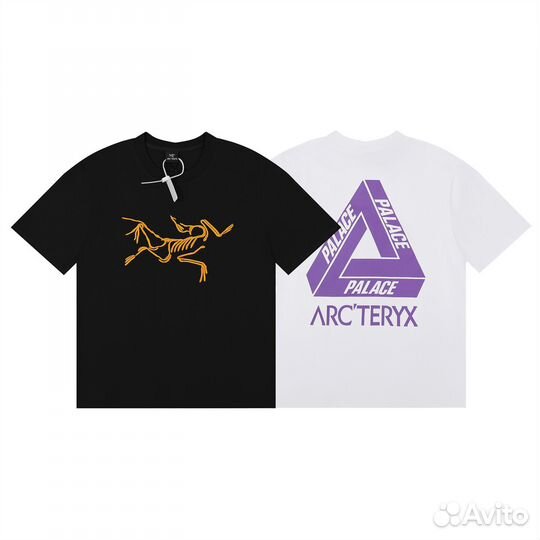 Футболка Arcteryx Palace
