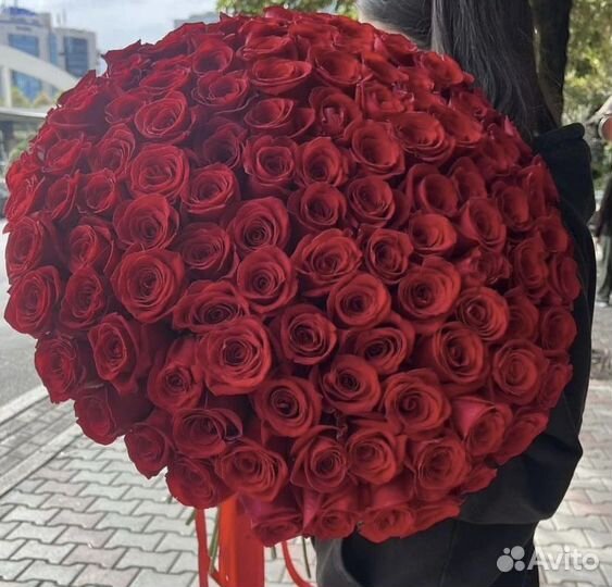 101, 51 красная роза