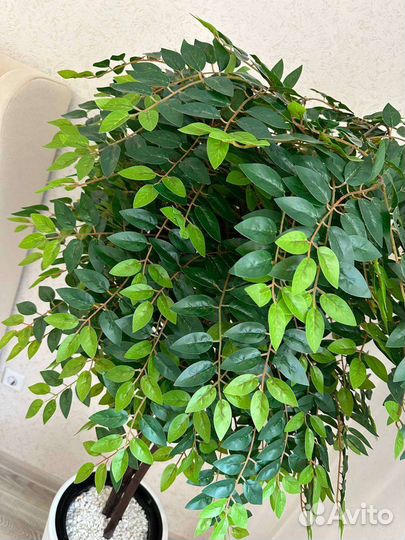 Искусственное дерево Глициния