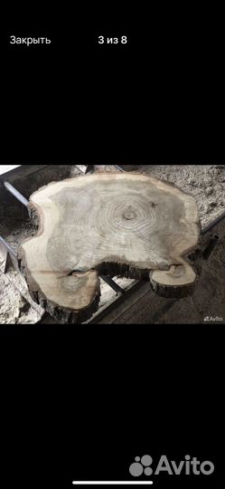 Слэб из тополя