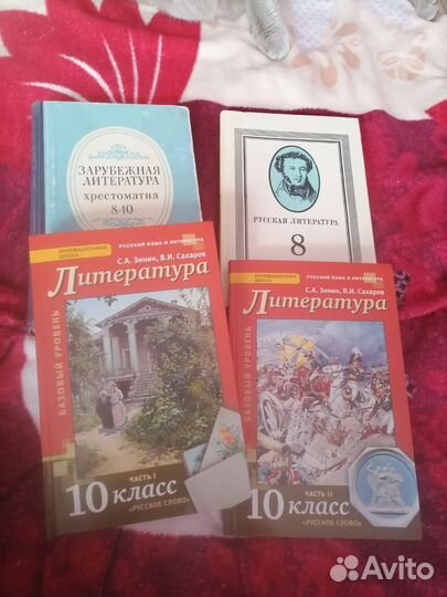 Литература 10 класс