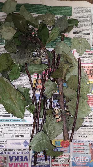 Клетка для джунгарика. Лоток кошачий