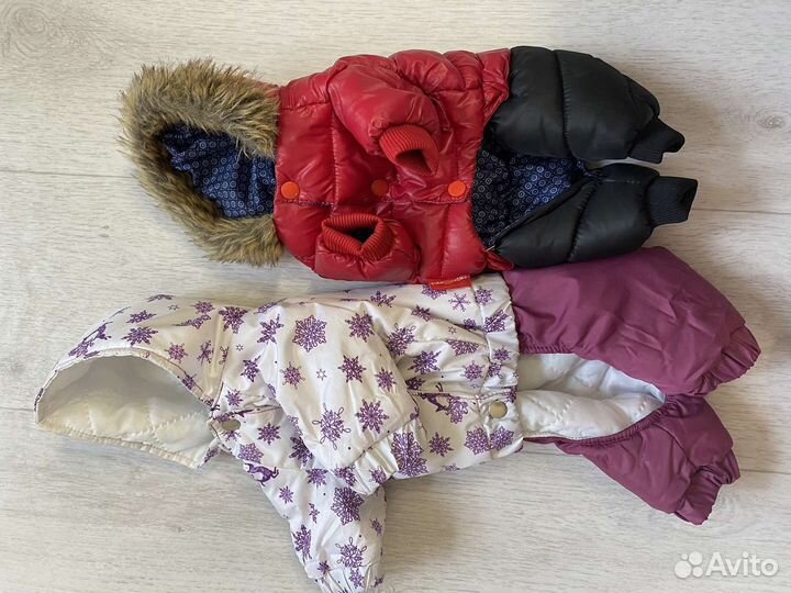 Костюмы для маленьких собак