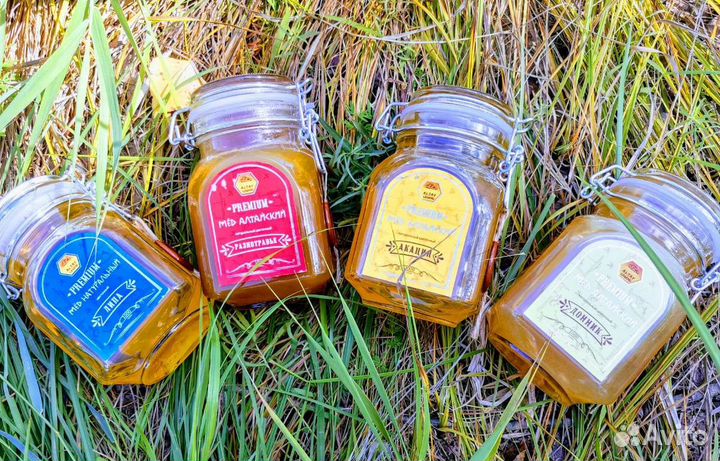 Мед оптом и в розницу урожай 2023