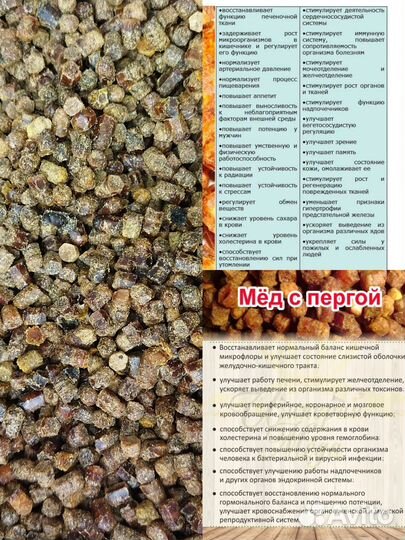 Медок 2023, соты, перга, помор, воск, прополис