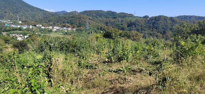 Участок 9 сот. (ИЖС)