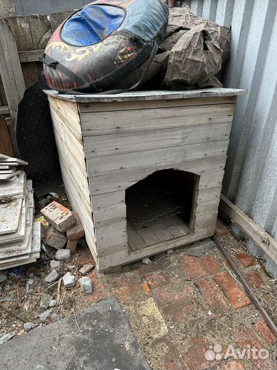 Собачья будка