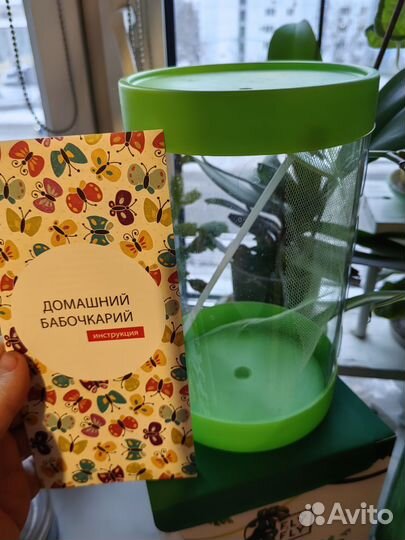 Бабочкарий