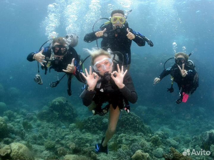 Дайвинг с катера / берега