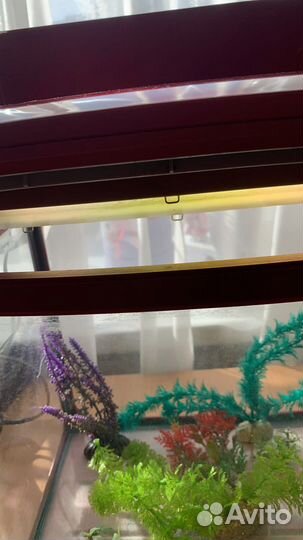 Аквариум