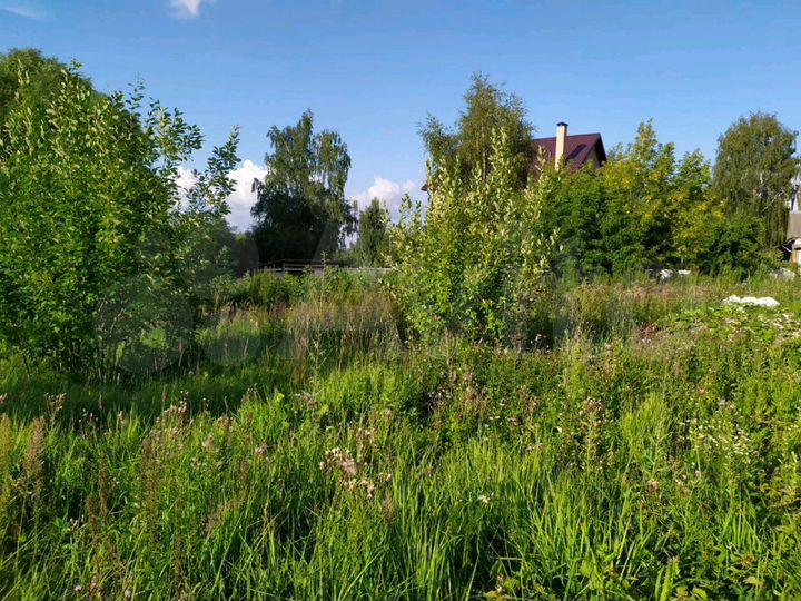 Земельные участки домодедовский. Домодедово деревня Заболотье. В деревне Заболотье Домодедовский.