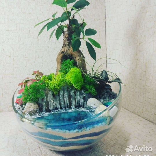 Флорариумы, моссариумы