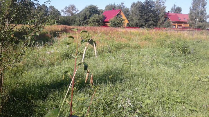 Участок 18,6 сот. (ИЖС)