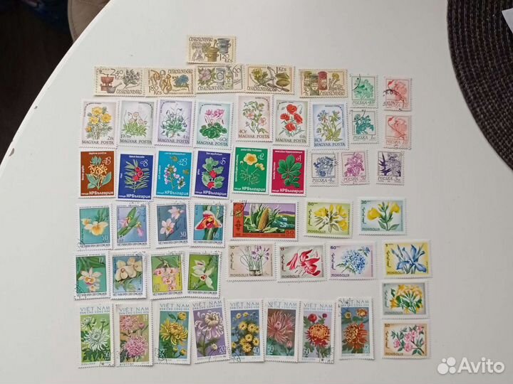 Марки, Флора