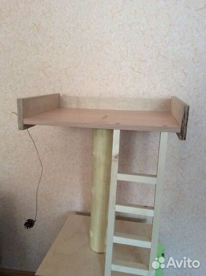 Когтеточка