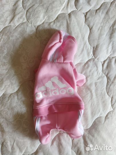 Костюм и шлейка для маленькой собаки