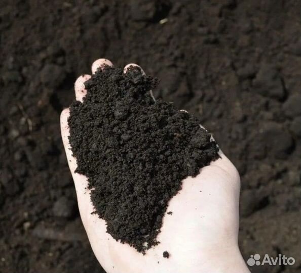 Плодородная земля