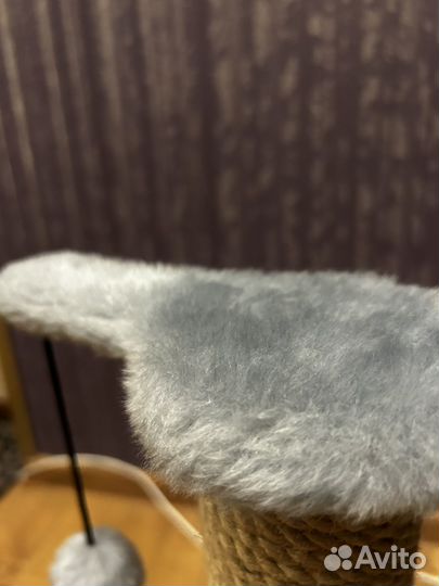 Когтеточка для кошек новая