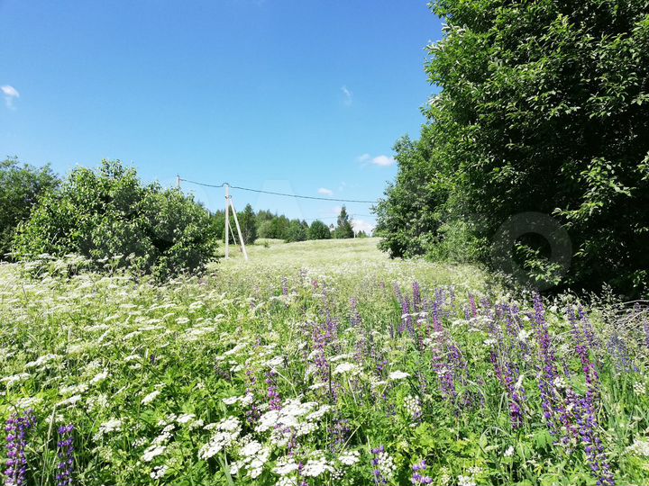 Участок 12 сот. (ИЖС)