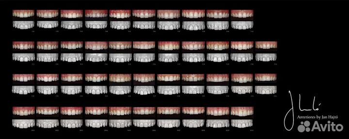 Образование, постдипломное