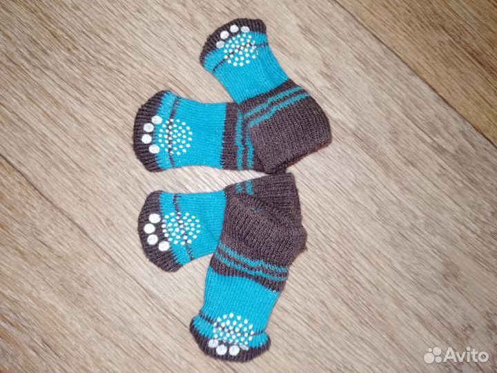 Одежда для животных