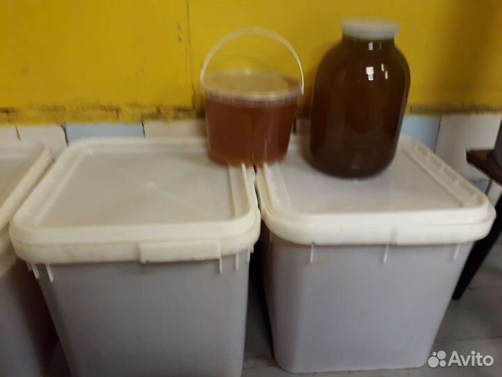 Мед с собственой пасеки. Мёд в сотах. Прополис,пыл