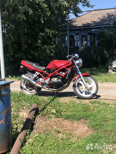 Suzuki bandit gsf 250