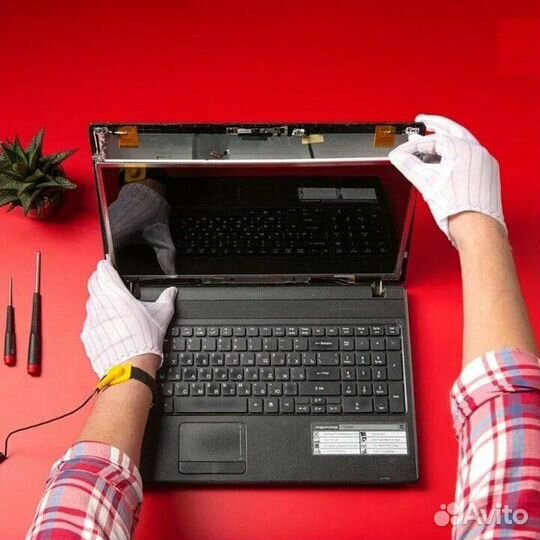 Компьютерная помощь. Установка Windows
