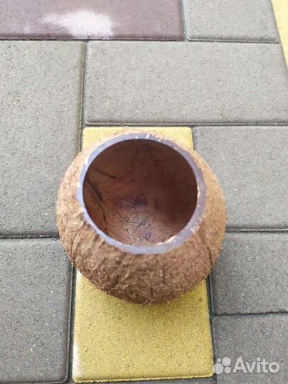 Кокосовая скорлупа