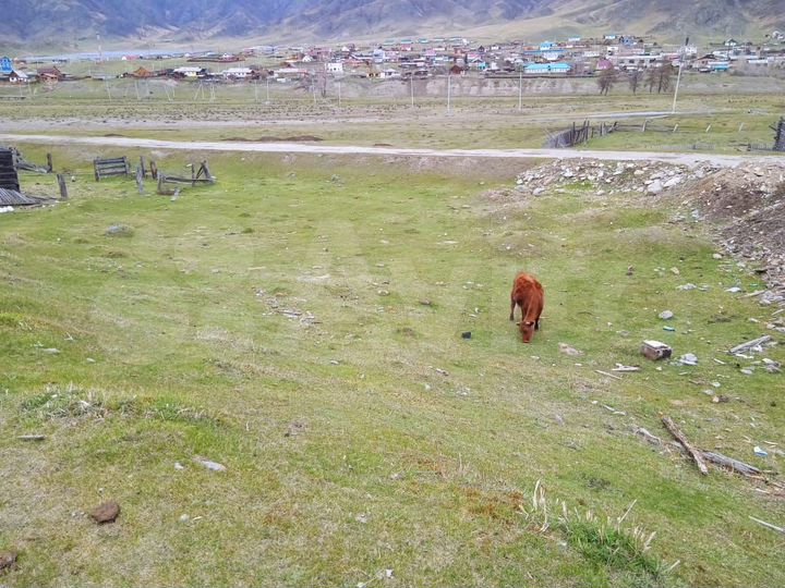 Участок 10 сот. (ИЖС)