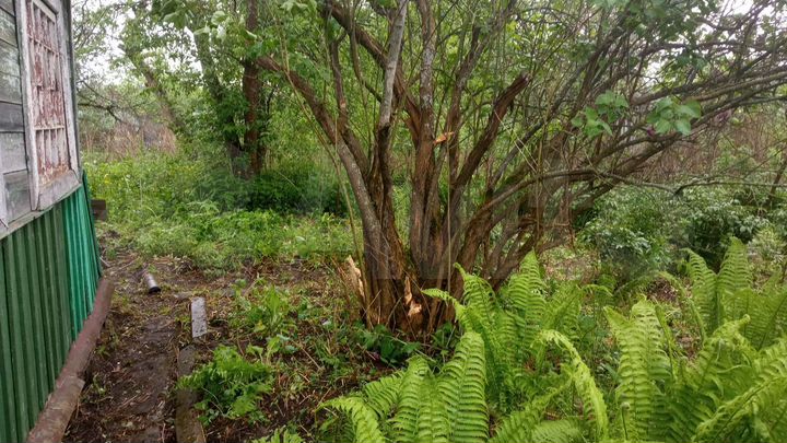 Дача 30 м² на участке 5,5 сот.