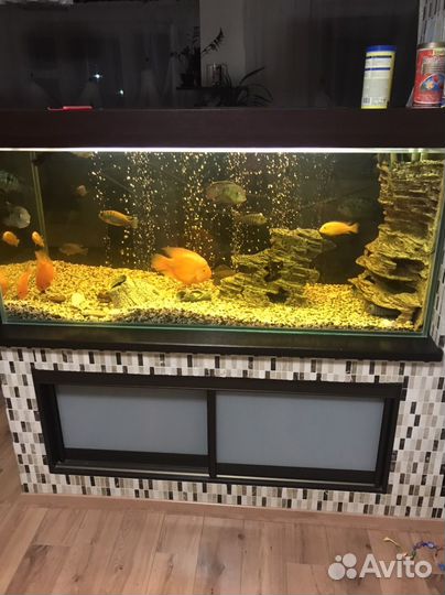 Аквариумный грунт