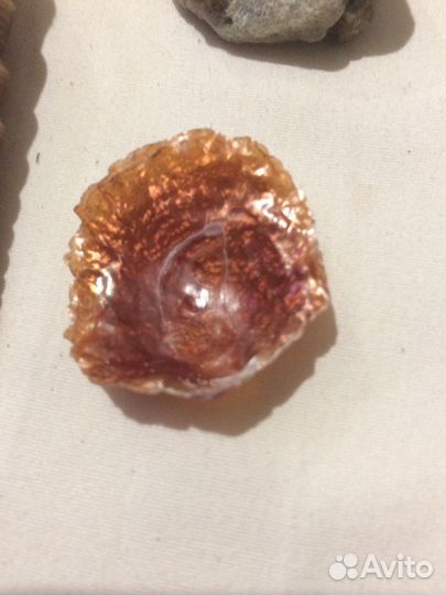 Набор. Окаменелости, ракушки, минералы