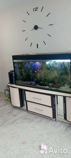 Аквариум с тумбой 450 литров