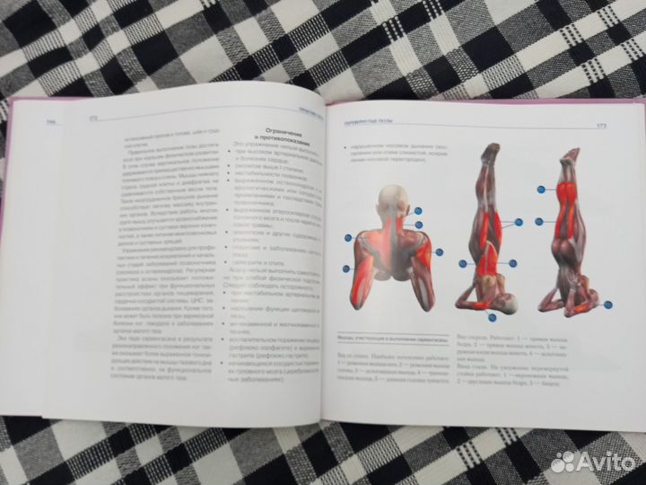Литература по анатомии