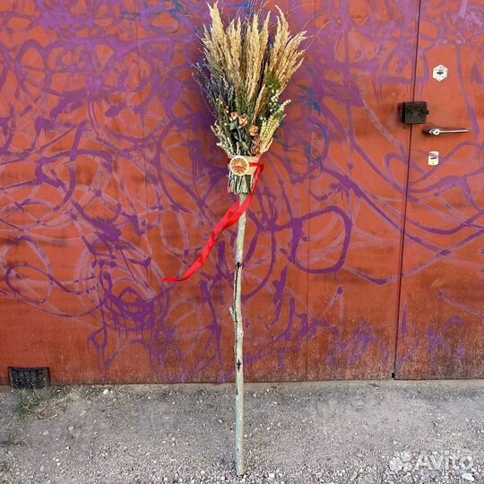 Метла ведьмы