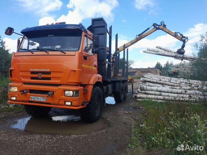 КамАЗ 43118 с КМУ, 2012