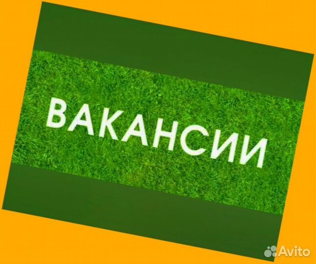 Грузчик Работа вахтой жилье/еда Выплаты еженедельно