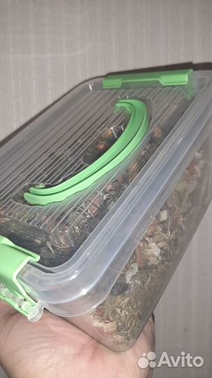 Кормушка. Копошилка