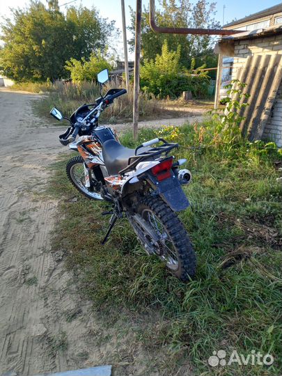Racer panrher 300