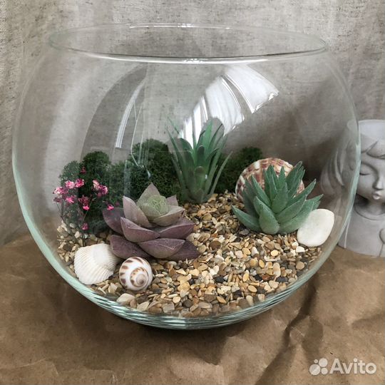 Флорариум суккуленты