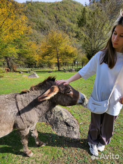 Туры в Абхазию с комфортом, фототуры