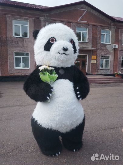 Панда надувная,2м 60 см и 2м 20 см