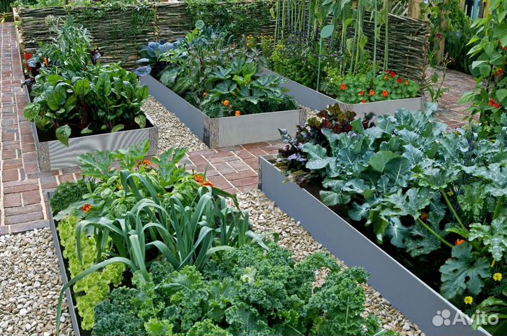 Грядка красивая